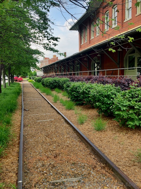 Looking down the tracks using HDR Pro, the brilliance of the azaleas just barely show up in the distance