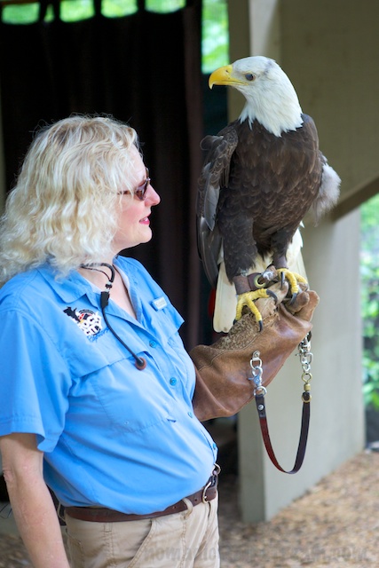 Osceola takes a close look at Dale