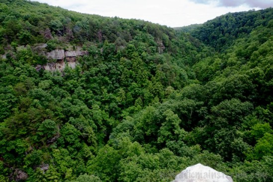 Looking up the gorge at a rolling valley covered in dense green you can hear a distant waterfall