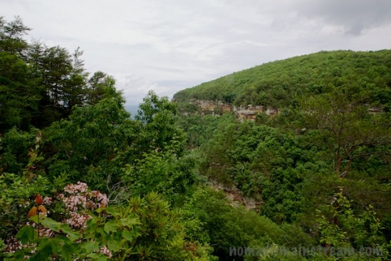 Looking the opposite direction down the gorge