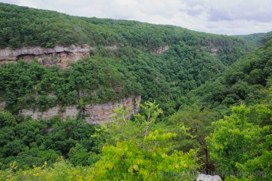 For a second I thought I shot this at 70mm or so, but it was shot at 24mm--the other side of the gorge is close!