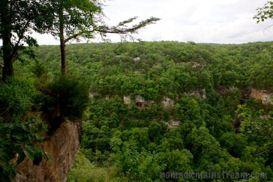 The canyon walls on the other side of the creek