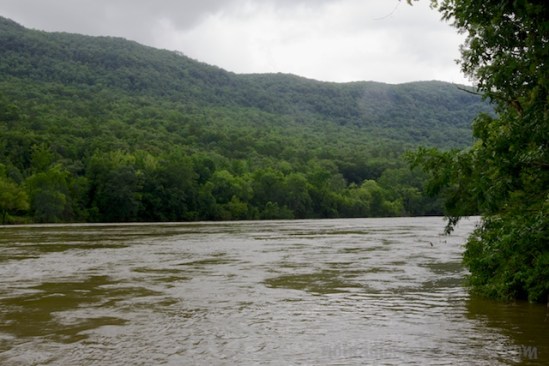 We watched several large logs racing down the rapidly moving water