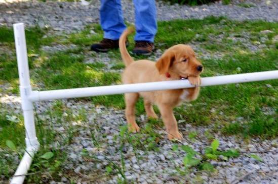 Conner changes his mind mid-leap and darts around the jump instead