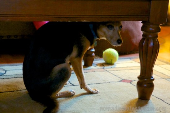 Elliott frozen in position