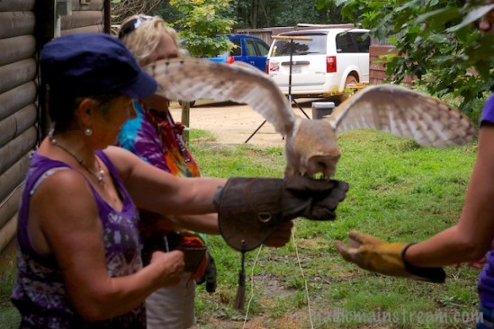 Theo happy to join Elvi