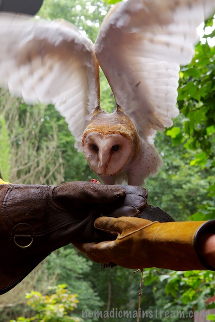 The 3-gloved approach 