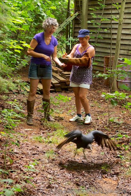Elvi and I confer while Cayce heads off the other direction