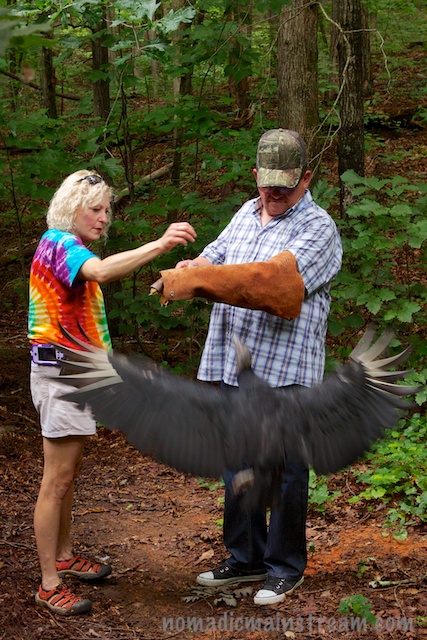 Cayce flies up to Horst's glove