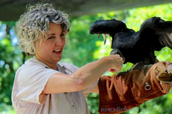 Cautiously feeding Cayce (Photo by Patrick Murray)