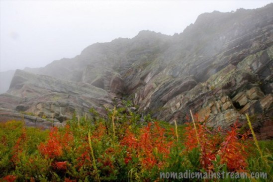 No--we are not climbing that